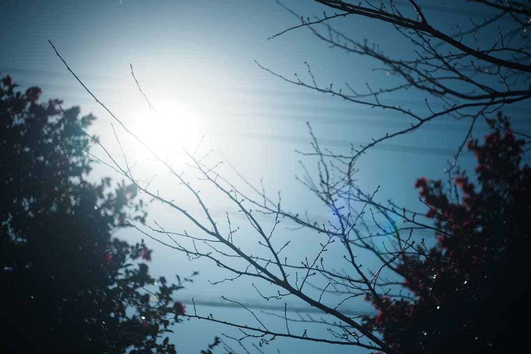 【整備＆テスト済】Canon New FD 85mm F1.8 329