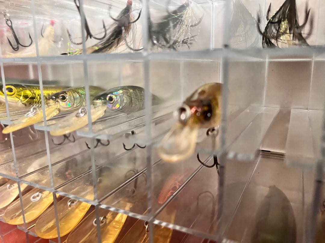 メガバス　アサイラム&ルアーセット