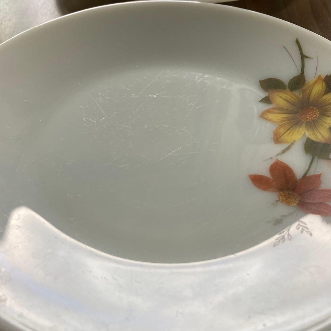 JAJパイレックス オータムグローリーシリーズ ディナープレート 6枚