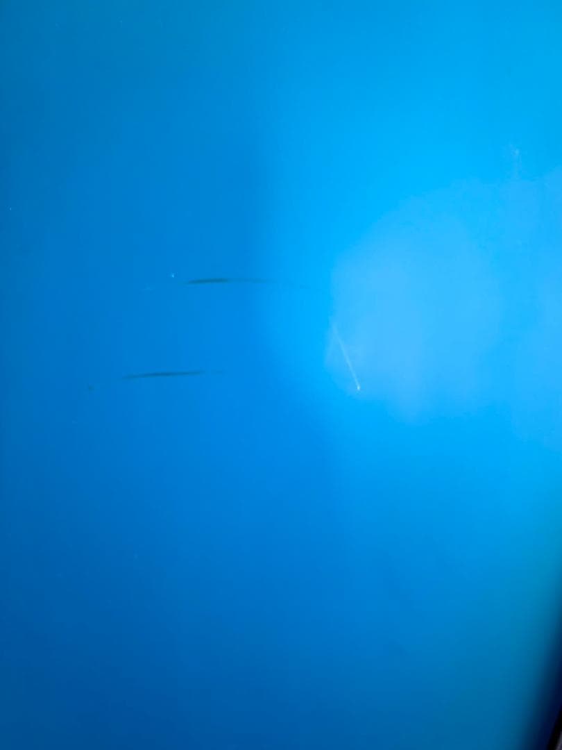 【美品】OGASAKA FC 157 24-25 スノーボード