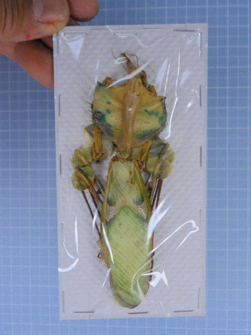 オモニリュック様 リクエスト 7点 まとめ商品 - メルカリ