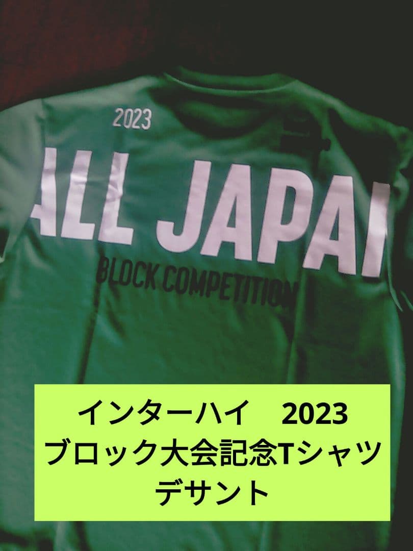 インターハイ2023 ブロック大会 記念Tシャツ Lサイズ DESCENTE - メルカリ