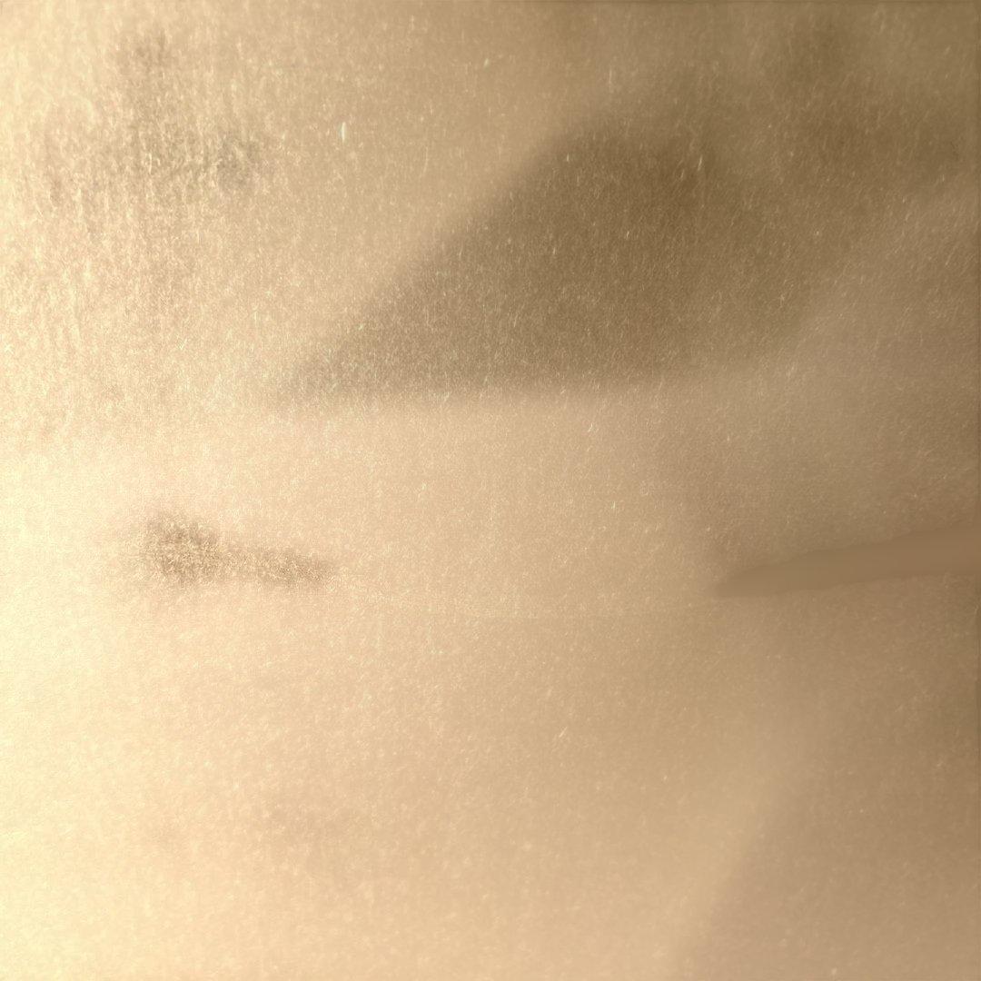 絵画　牡丹　　⚠️素人画