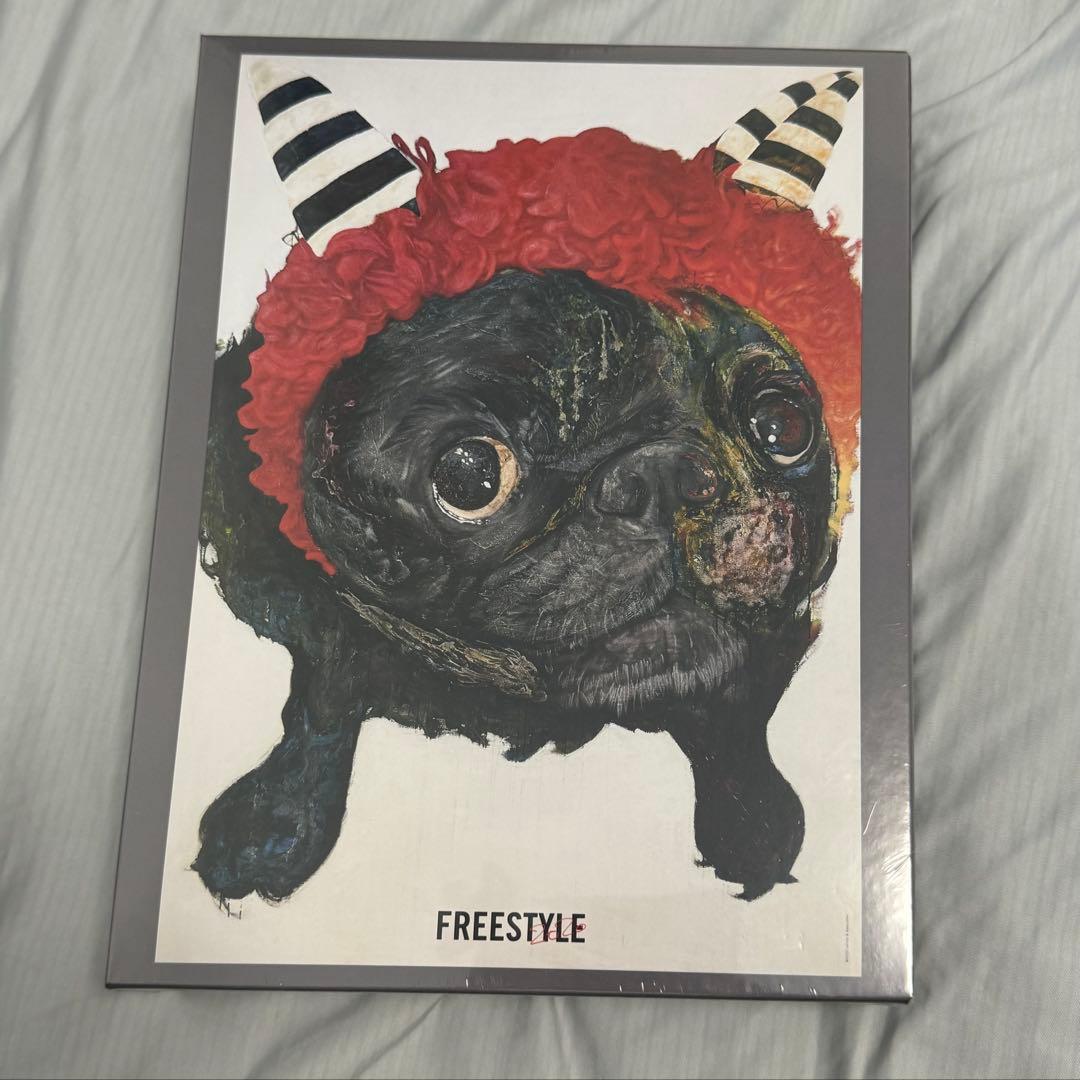 【お値下げ】嵐 大野智 FREE STYLE II グッズ セット