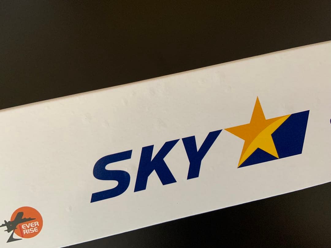 スカイマーク モデルプレーン BOEING 737-800