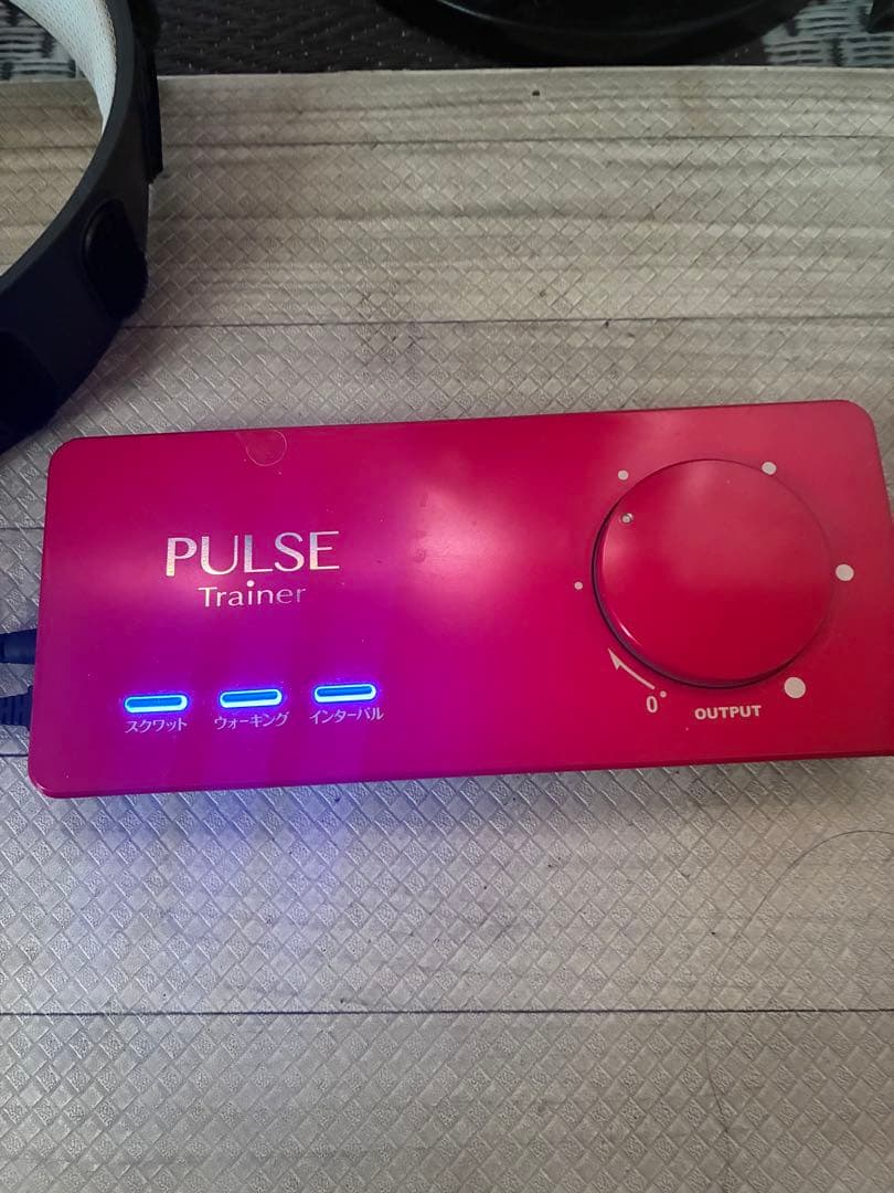 PULSE ⭐︎トレーナー