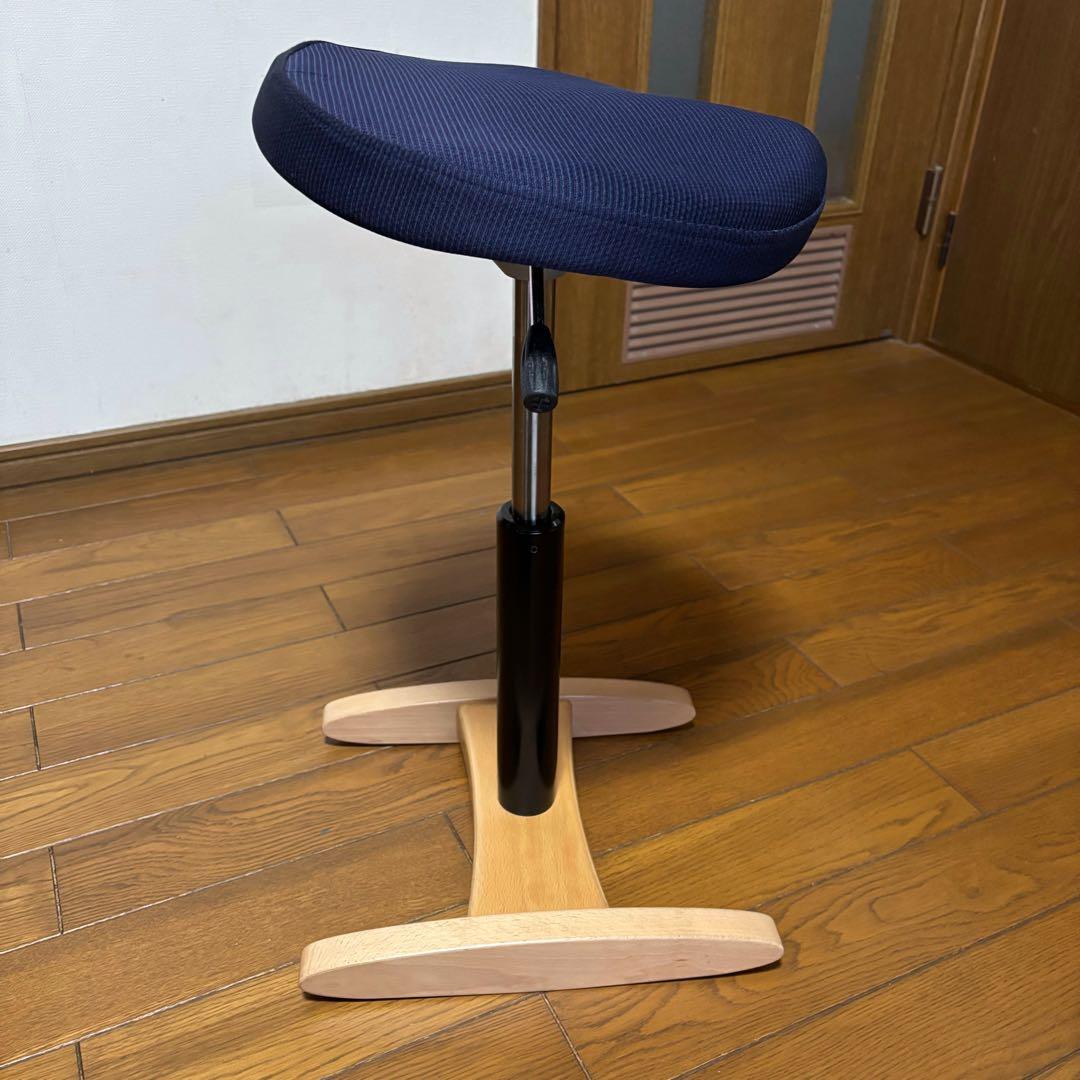 腰痛対策椅子｜バランス シナジー　バランスラボ（旧 サカモトハウス）