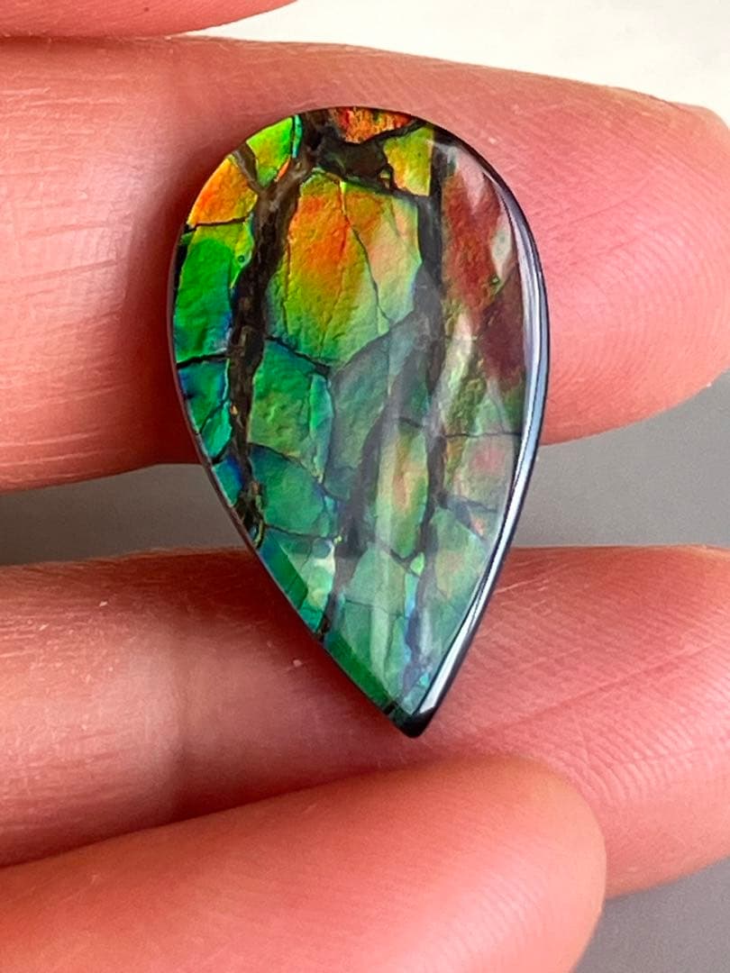 アンモライトルース　化石　原石　幅2.2cm 美品