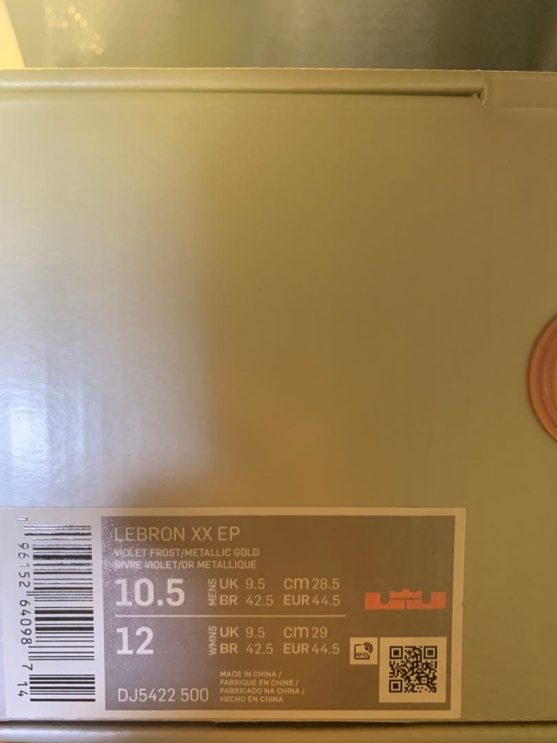 シューズ(男性用) Nike LeBron 20 EP