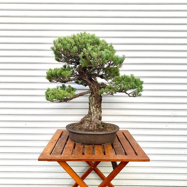 や*と様 ICE PARK ネイビー スキーウェア フリースライニング 上のみ