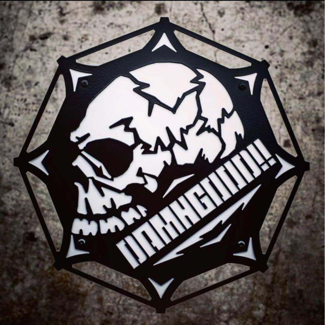 THE SKULL DISK NATURE TONES x DAMNGOOD!!