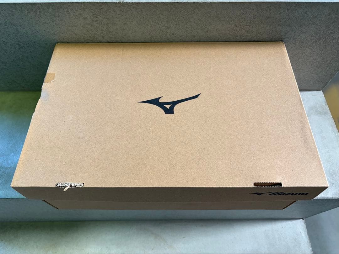 スパイク・シューズ Mizuno Wave Rebellion Pro 2 27.5cm