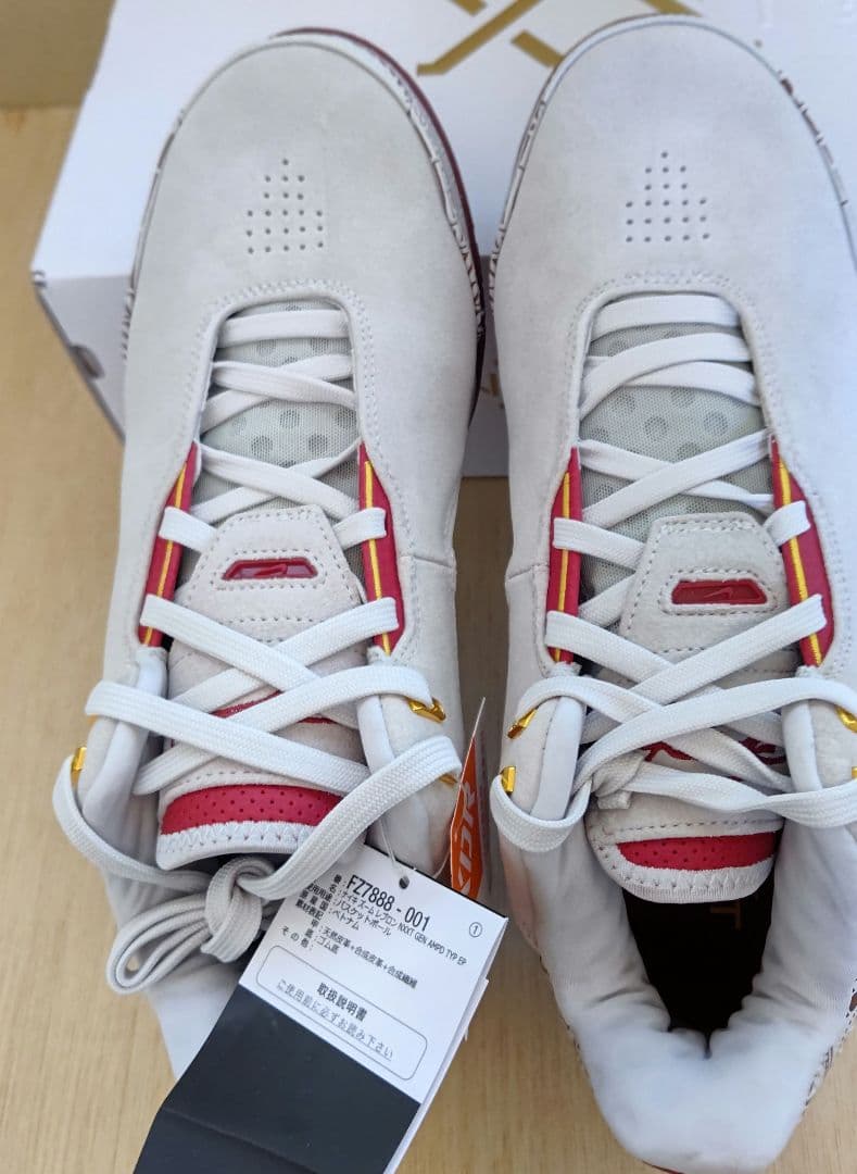 ナイキ NIKE ズーム レブロン NXXT GEN AMPD EP