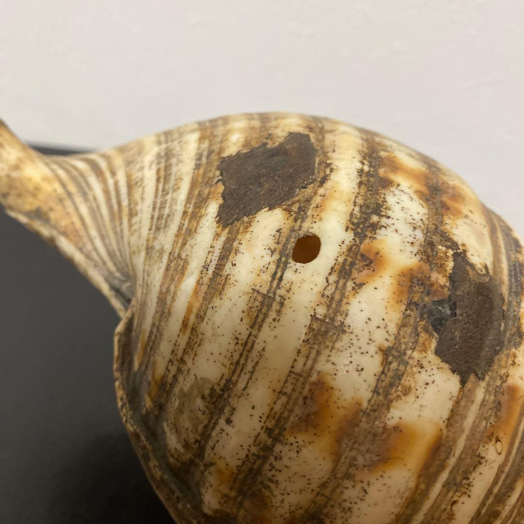 時代物 法螺貝 密教法具 武具 甲冑