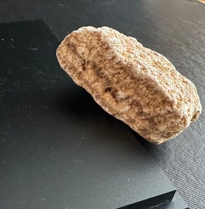 ★秋田発『北投石』９３グラム 100%本物!! 秋田玉川温泉産✨年末年始セール✨