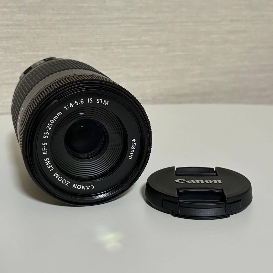 Canon EF-S 55-250mm f/4-5.6 ズームレンズ