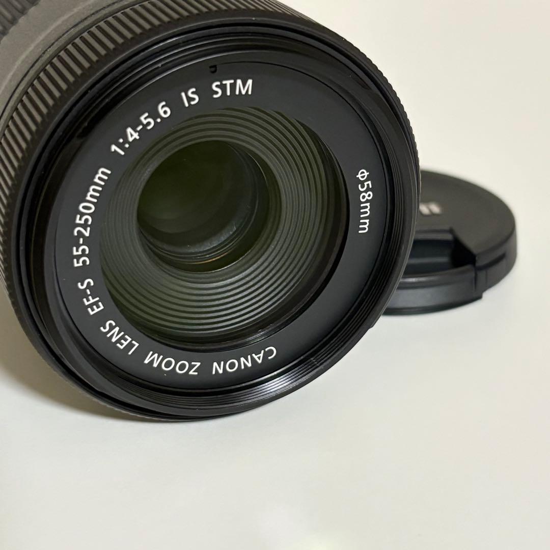 Canon EF-S 55-250mm f/4-5.6 ズームレンズ