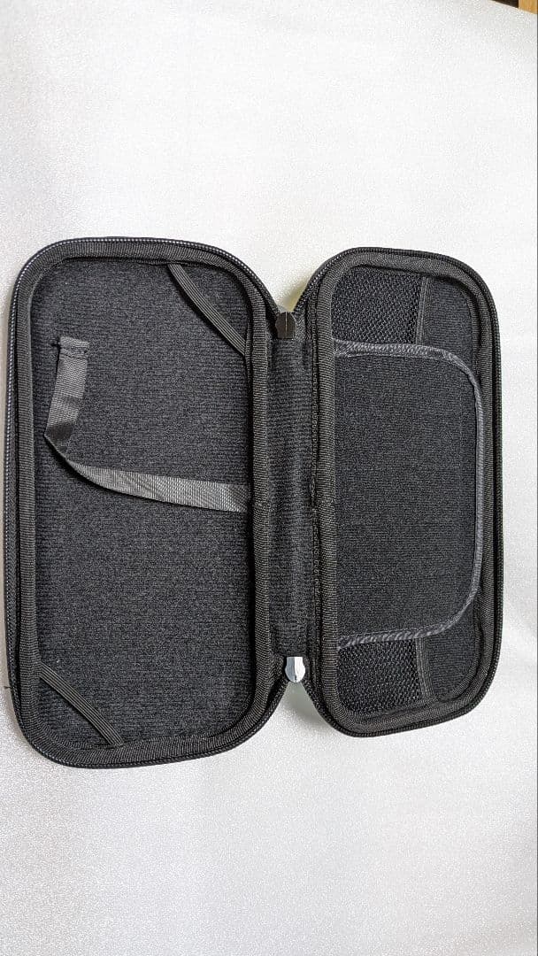 SwitchLight ターコイズ 本体＋充電器＋SDカード