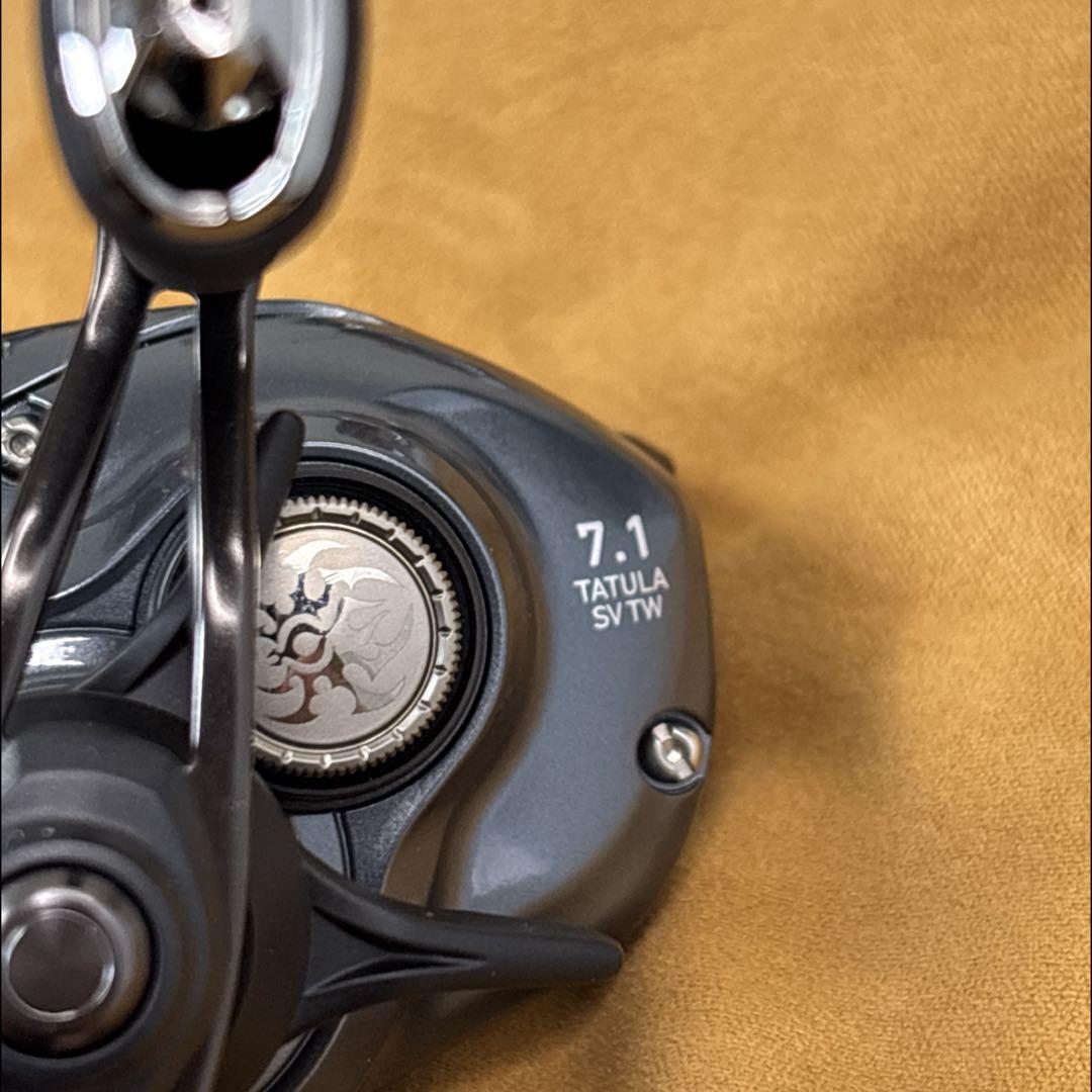 ダイワ 25 タトゥーラ SV TW 100HL