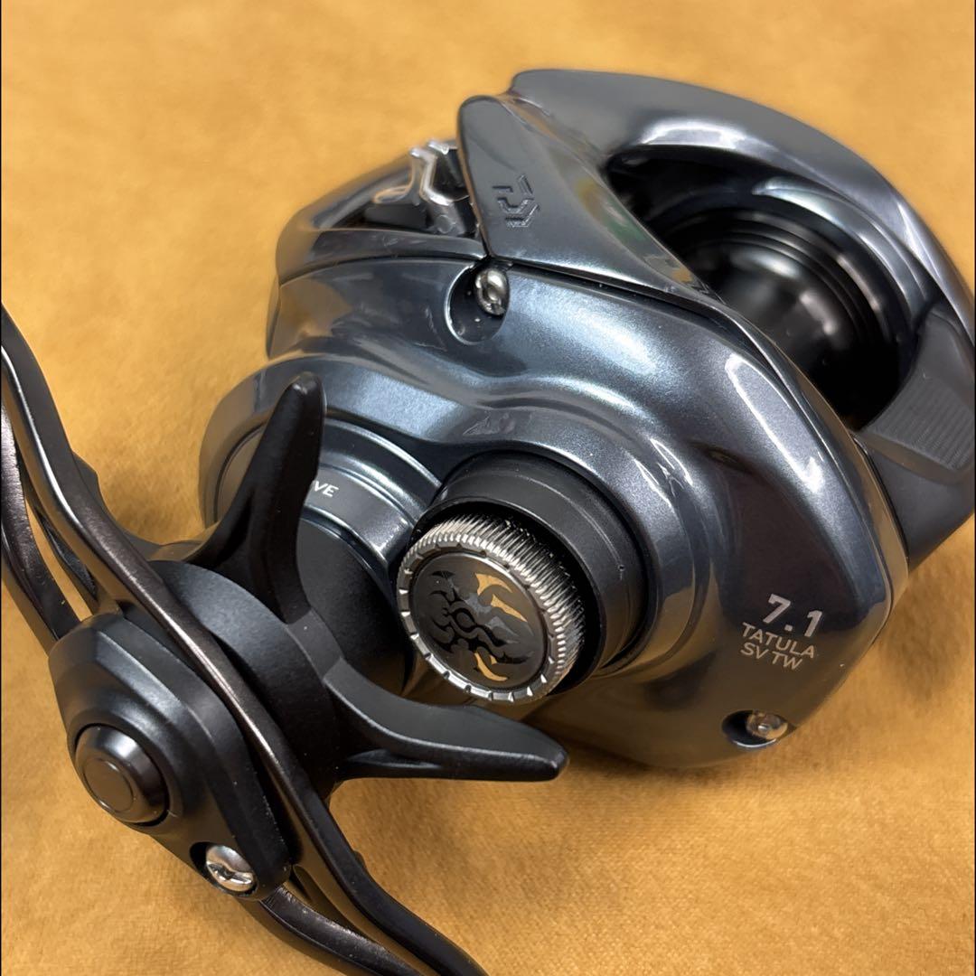 ダイワ 25 タトゥーラ SV TW 100HL
