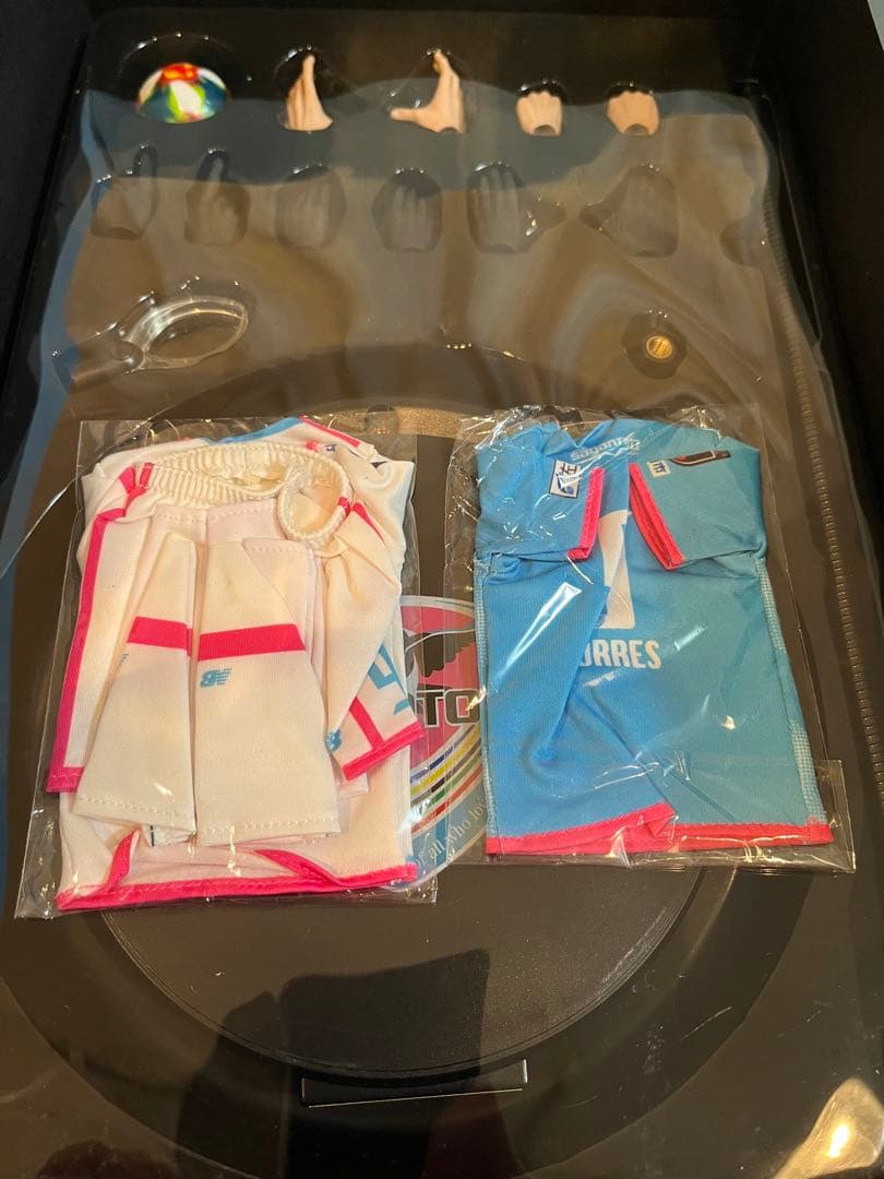 サガン鳥栖 フェルナンドトーレス スペシャル限定BOX 引退記念 - メルカリ