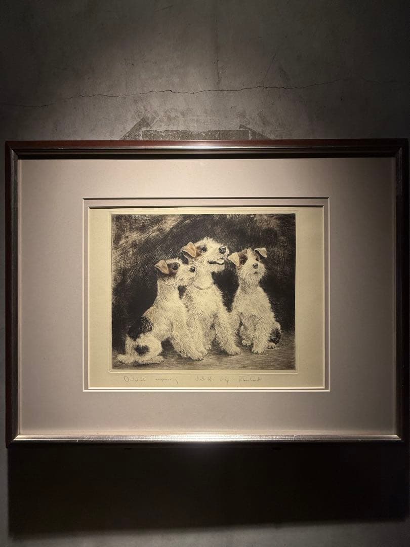 他の方発送× Meyer-Eberhardt