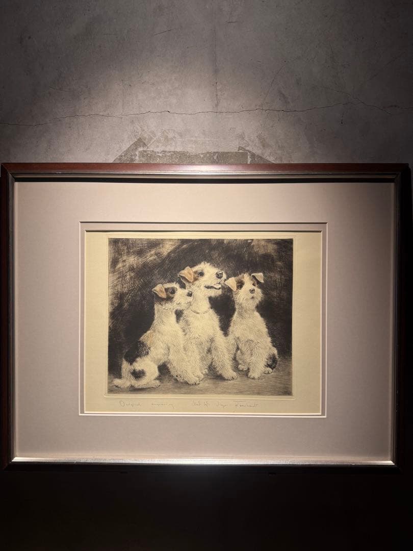 他の方発送× Meyer-Eberhardt