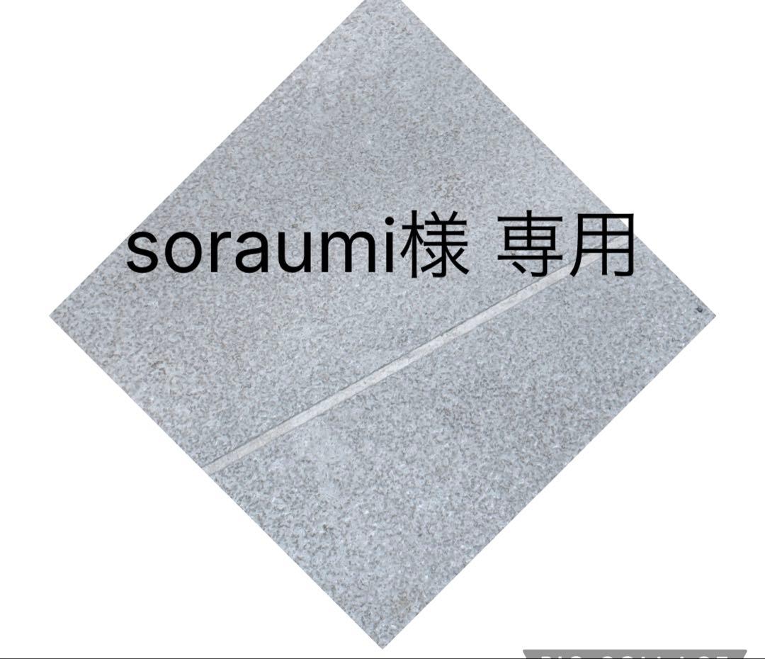 【soraumi】 疾風 シンクロブースター 90mm