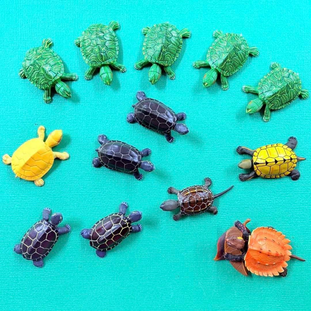 海洋堂 チョコエッグ チョコQ 亀 カメ 7種13個セット ミドリガメ 銭亀