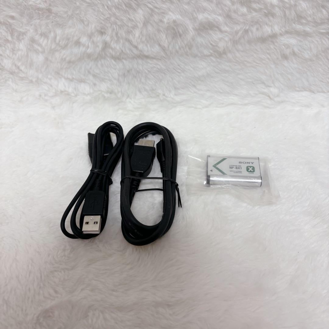 【極美品】SONY HDR-CX470 ビデオカメラ 本体