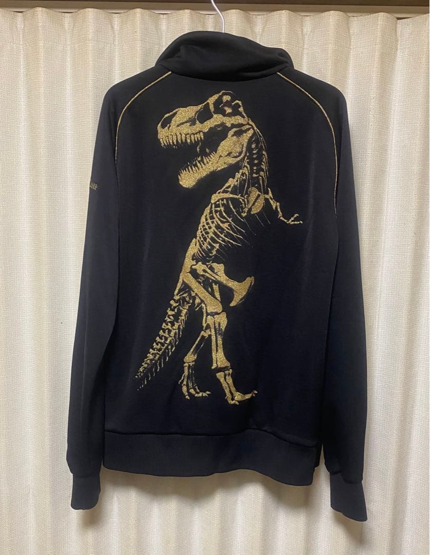 DRESSCAMP × Champion T-REXジャージ - メルカリ