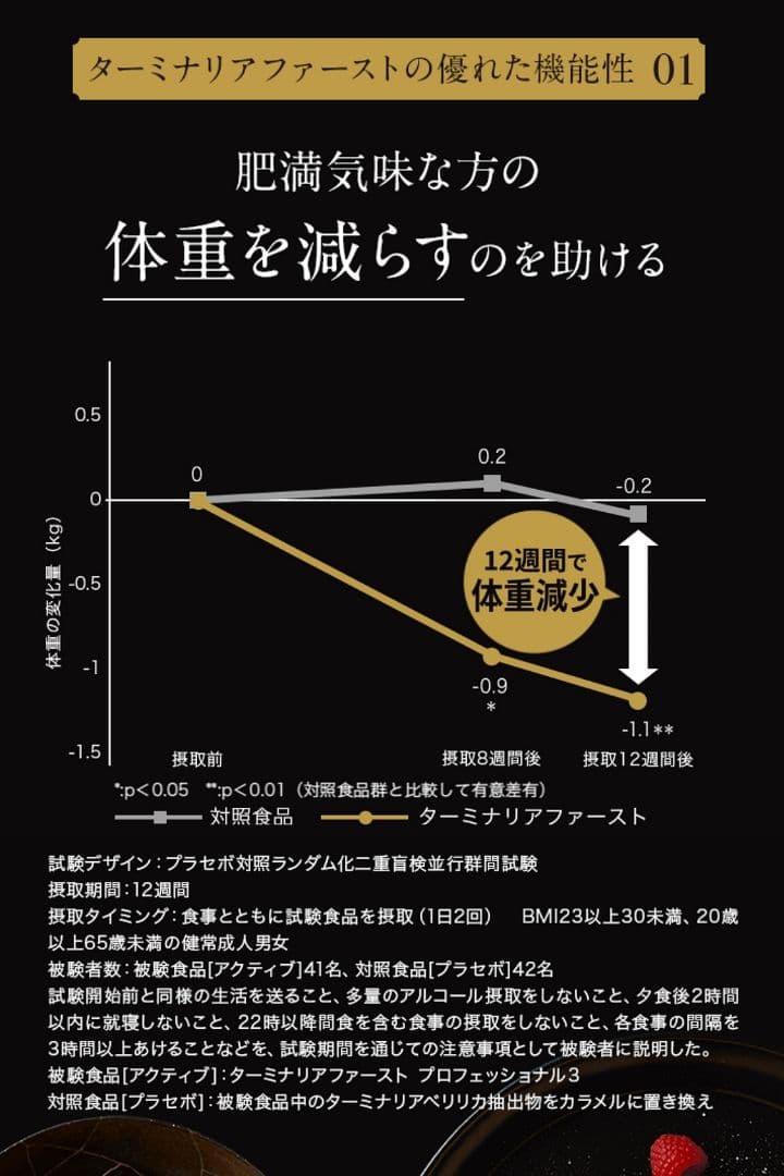 ビタブリッドジャパン ターミナリアファースト 120粒 3袋 ケース付新品未開封