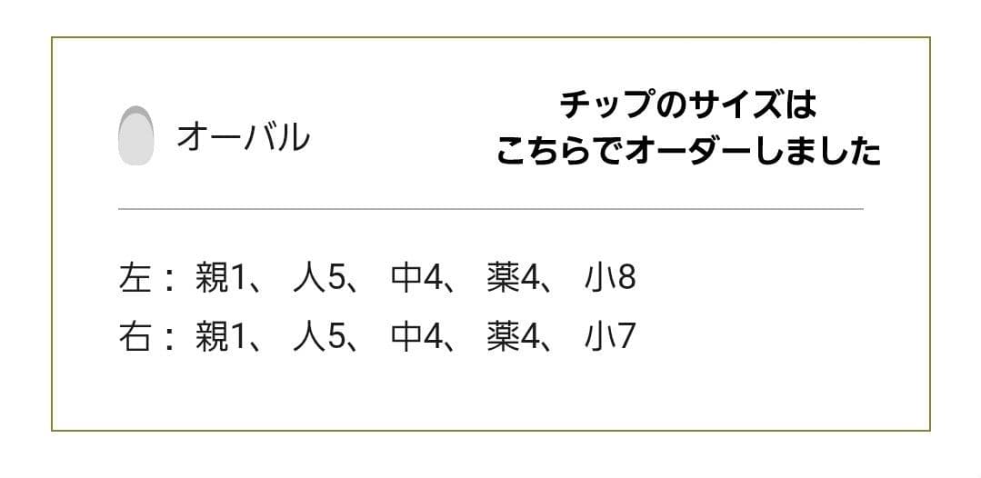 未使用✦EVERNAIL エバーネイル ネイルチップ ミディアムオーバル グレー