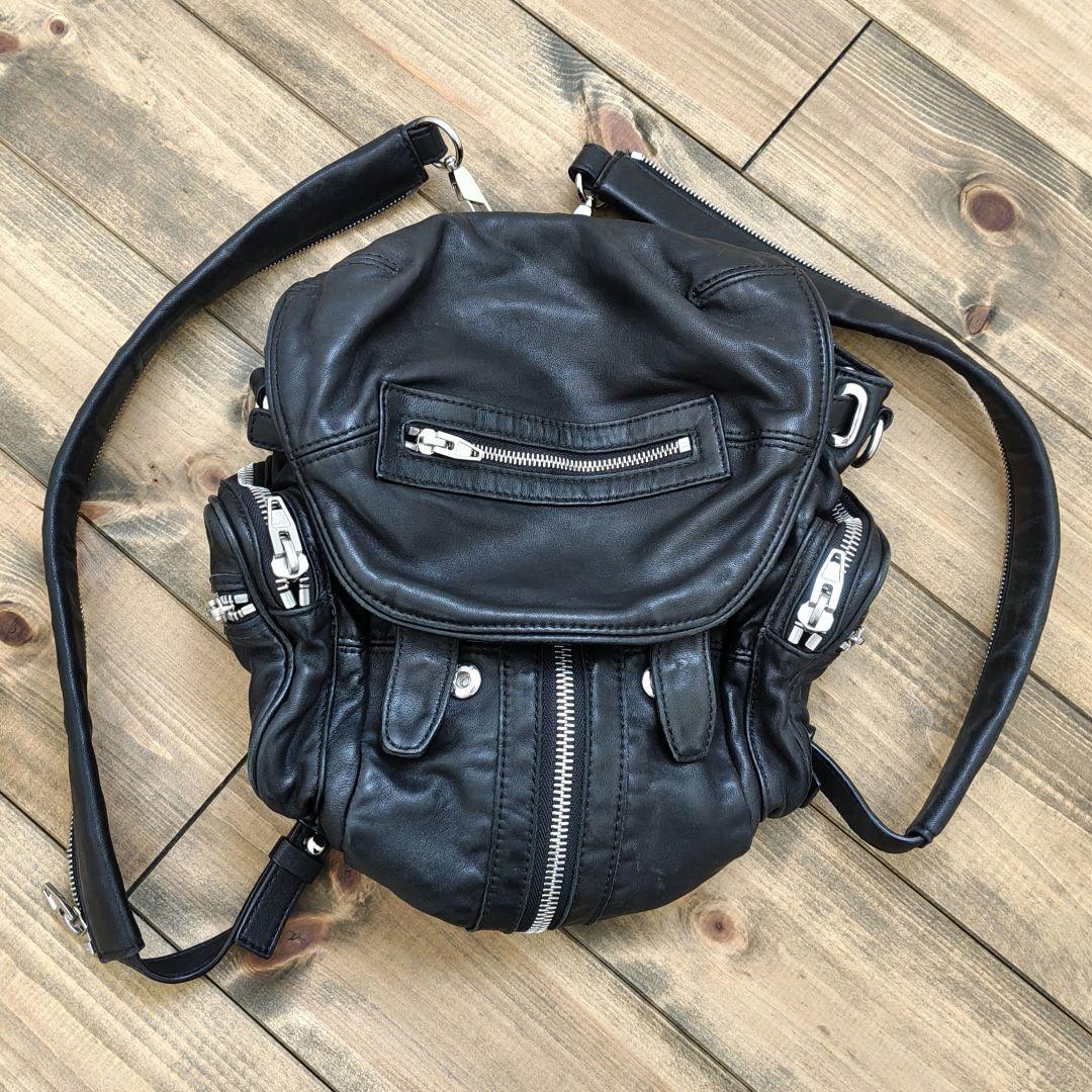 【Kawaiipunknyan†❤︎さま専用】アレキサンダーワンレザーバッグ