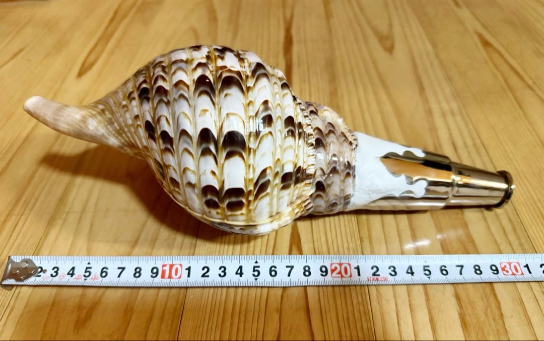 コンパクト修験道法螺貝 山伏 密教 魔除け 熊よけ❣️ホラガイ ほら貝