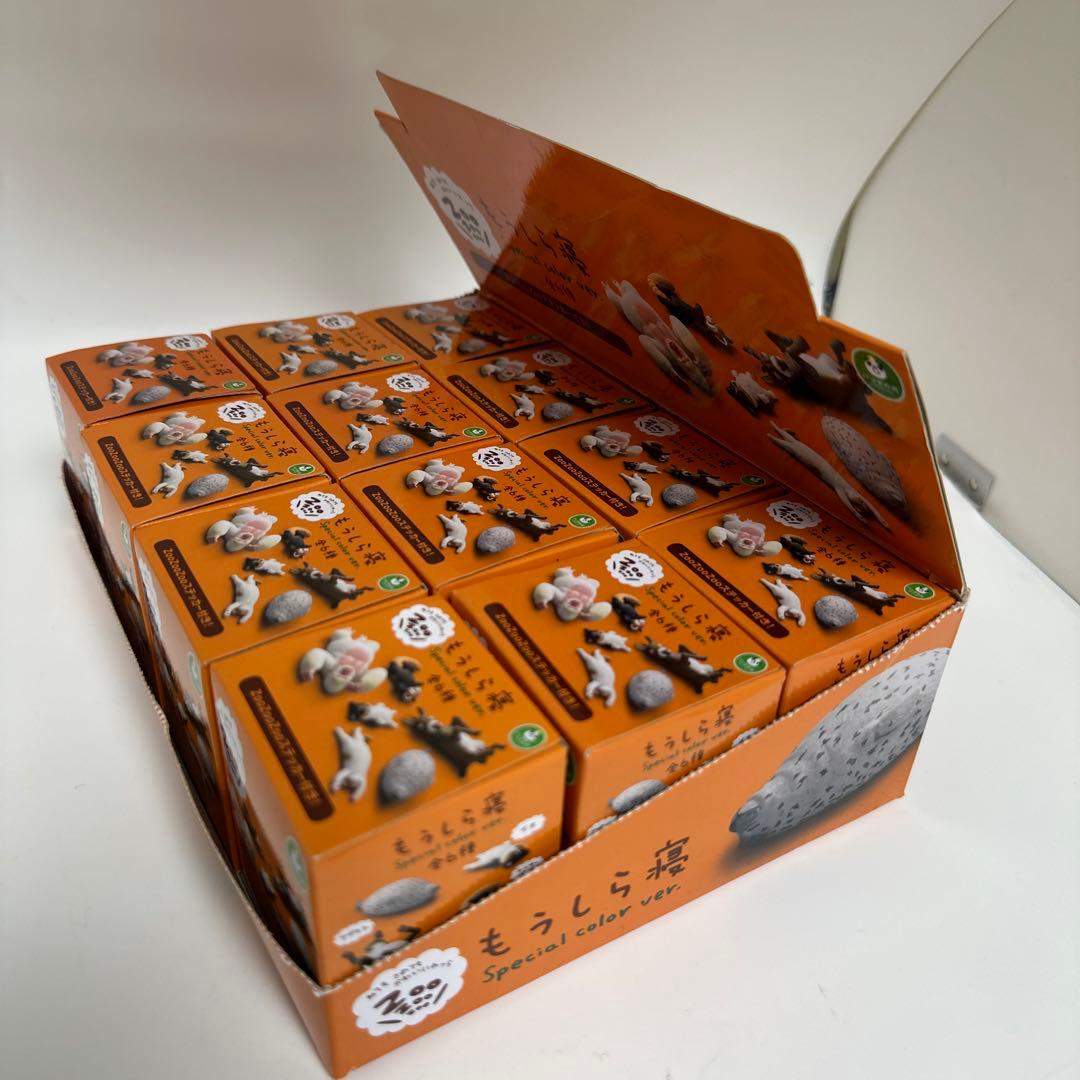 希少 17年製 ZooZooZoo もうしら寝 スペシャルカラー 12個