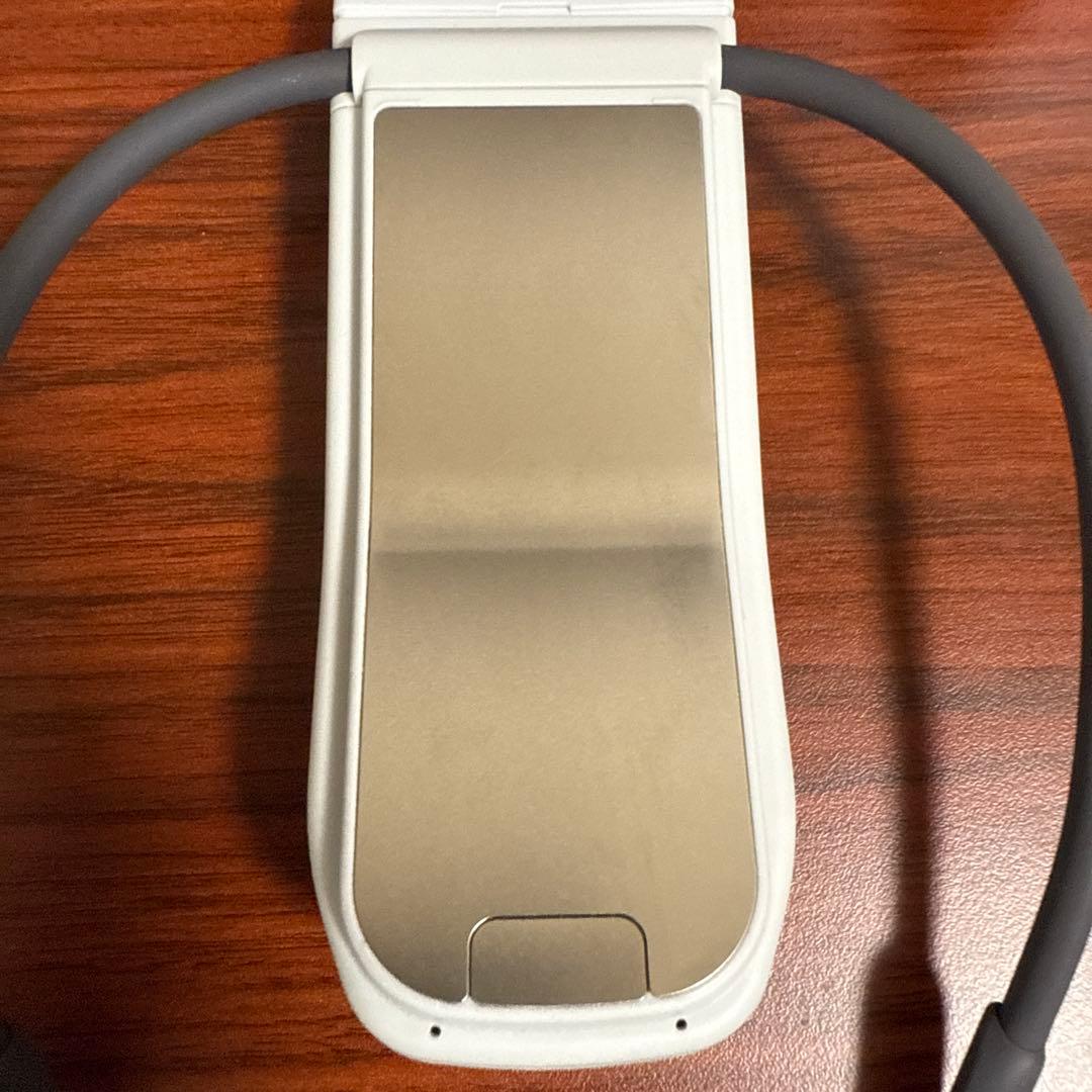 REON POCKET PROレオンポケットプロ 本体・専用ケース付き