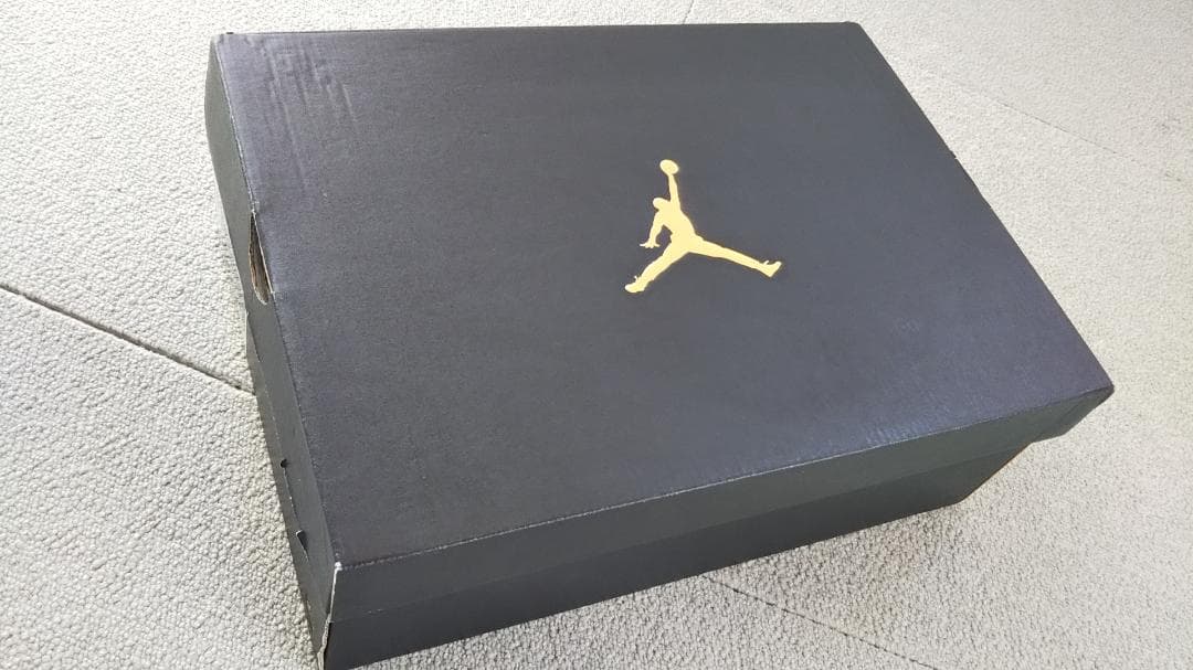 ナイキ ジョーダン マーズ グレープ サイズ27.0㎝