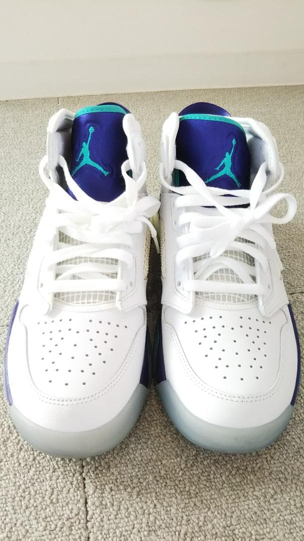 ナイキ ジョーダン マーズ グレープ サイズ27.0㎝