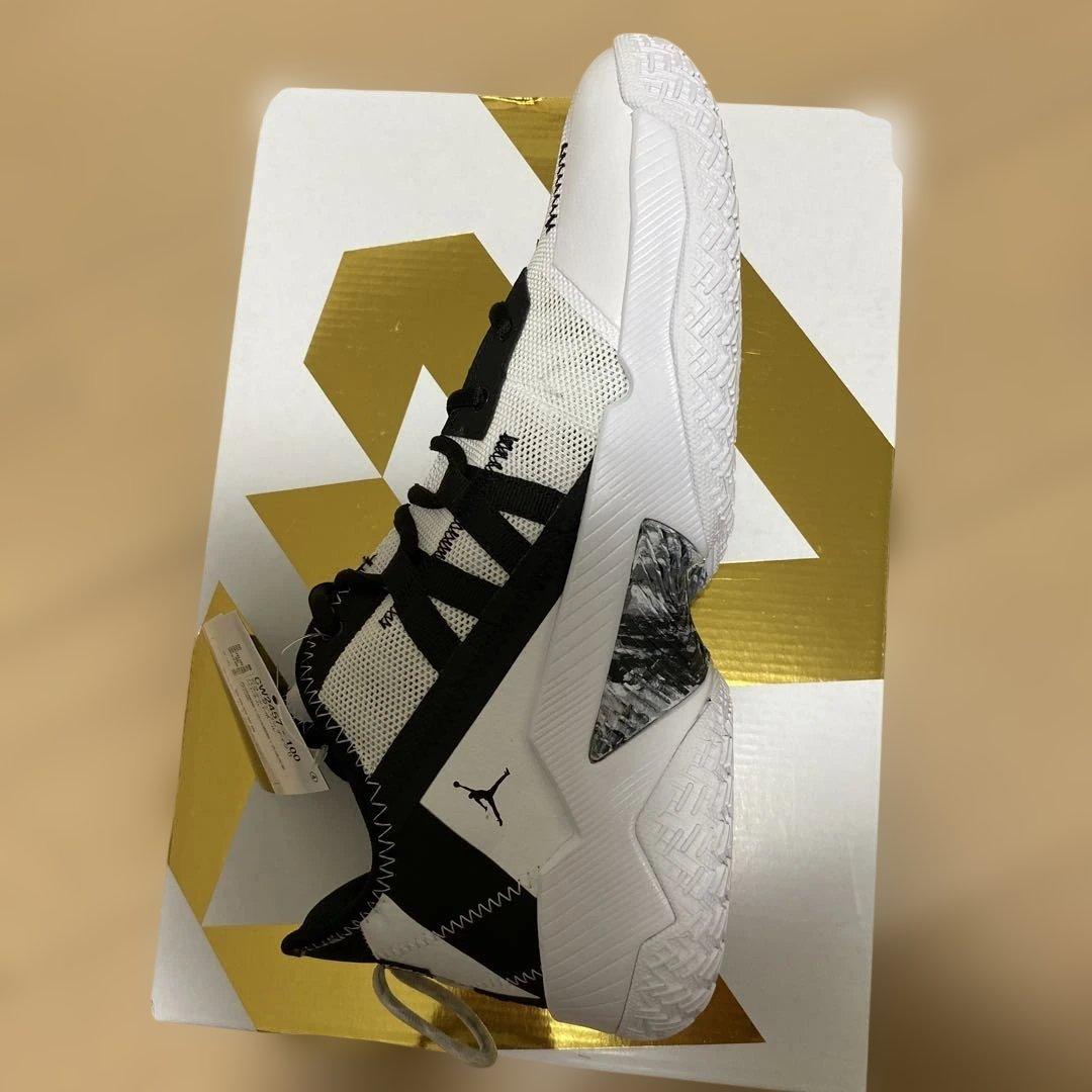 【新品未使用】タグ付きNIKEジョーダンワンテイクII黒白CW2457-100