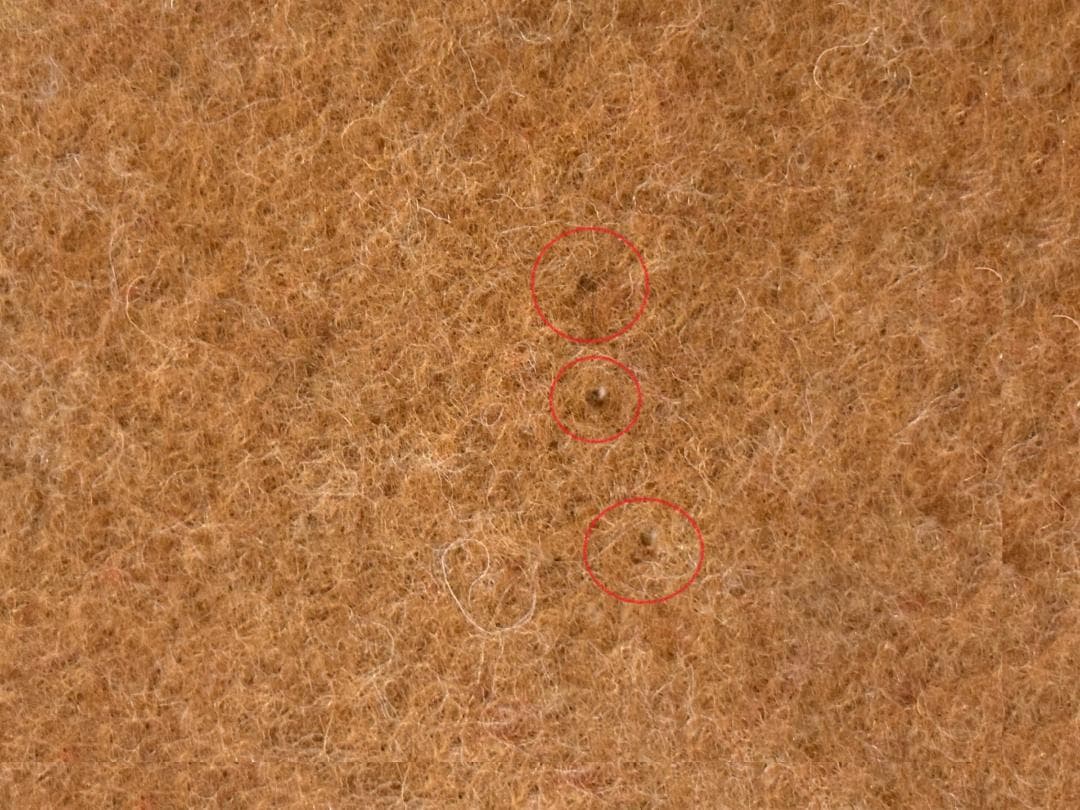 【新品未使用品】ホースブランケット1/2 mustard×red