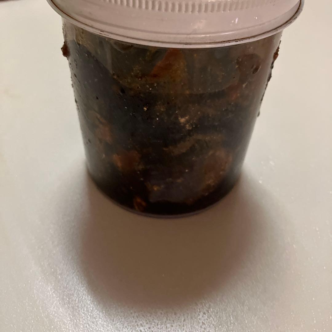 uncle josh ポーク　ルアー　20年物