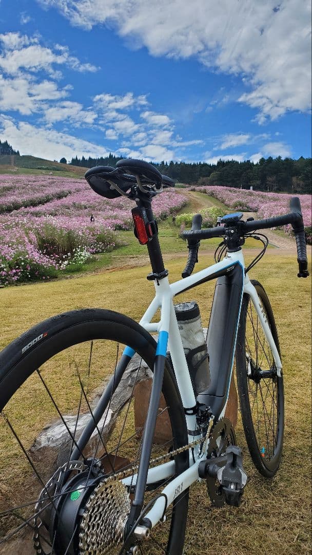 E-Bike BESV ベスビー JR1