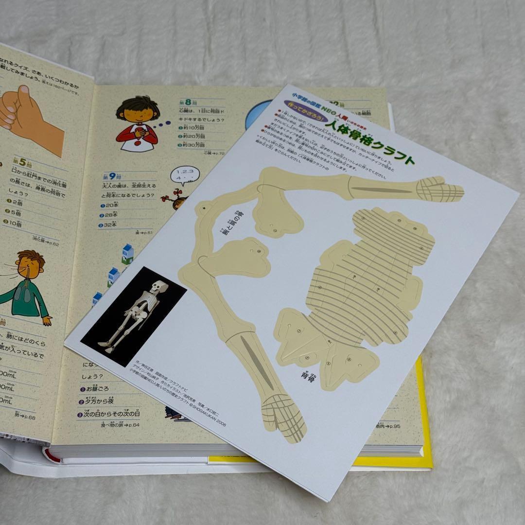 【良品・カバーあり】小学館の図鑑NEO 全巻20冊セット