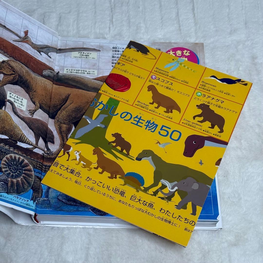 【良品・カバーあり】小学館の図鑑NEO 全巻20冊セット