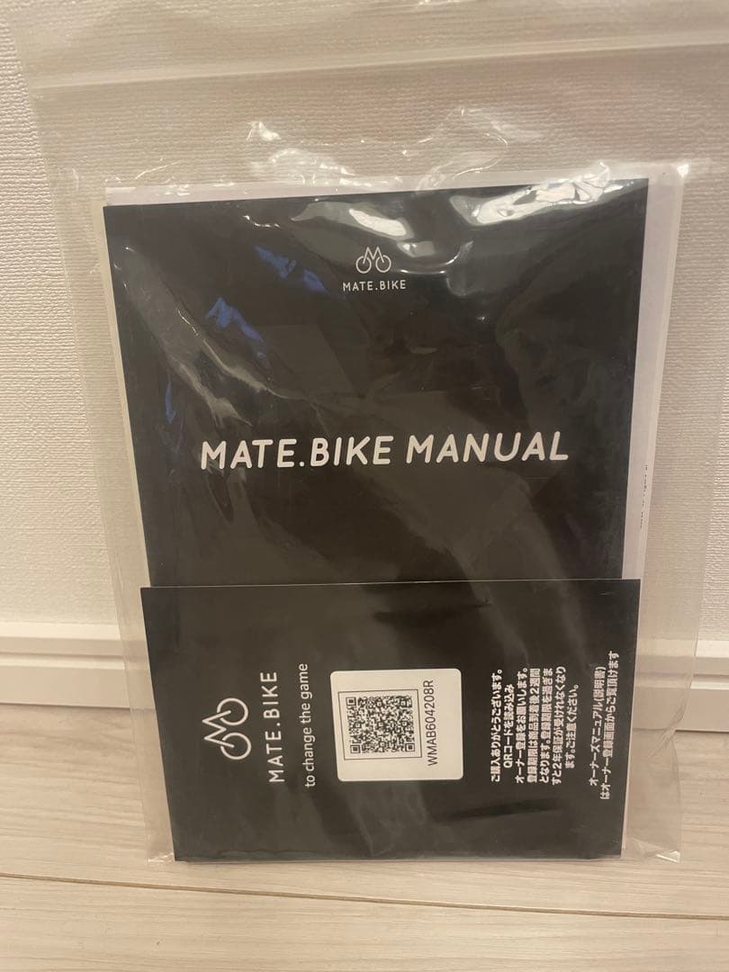 MATE X 250W 初期モデル