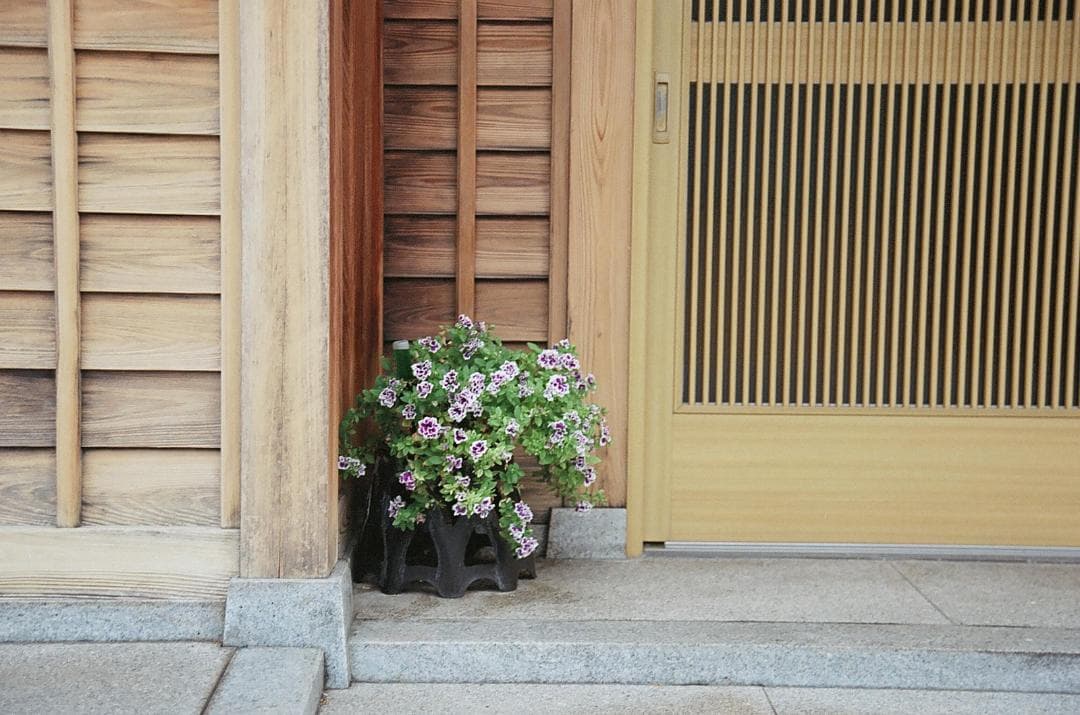 美品Nikon AF Nikkor 24-85mm F2.8作例有り