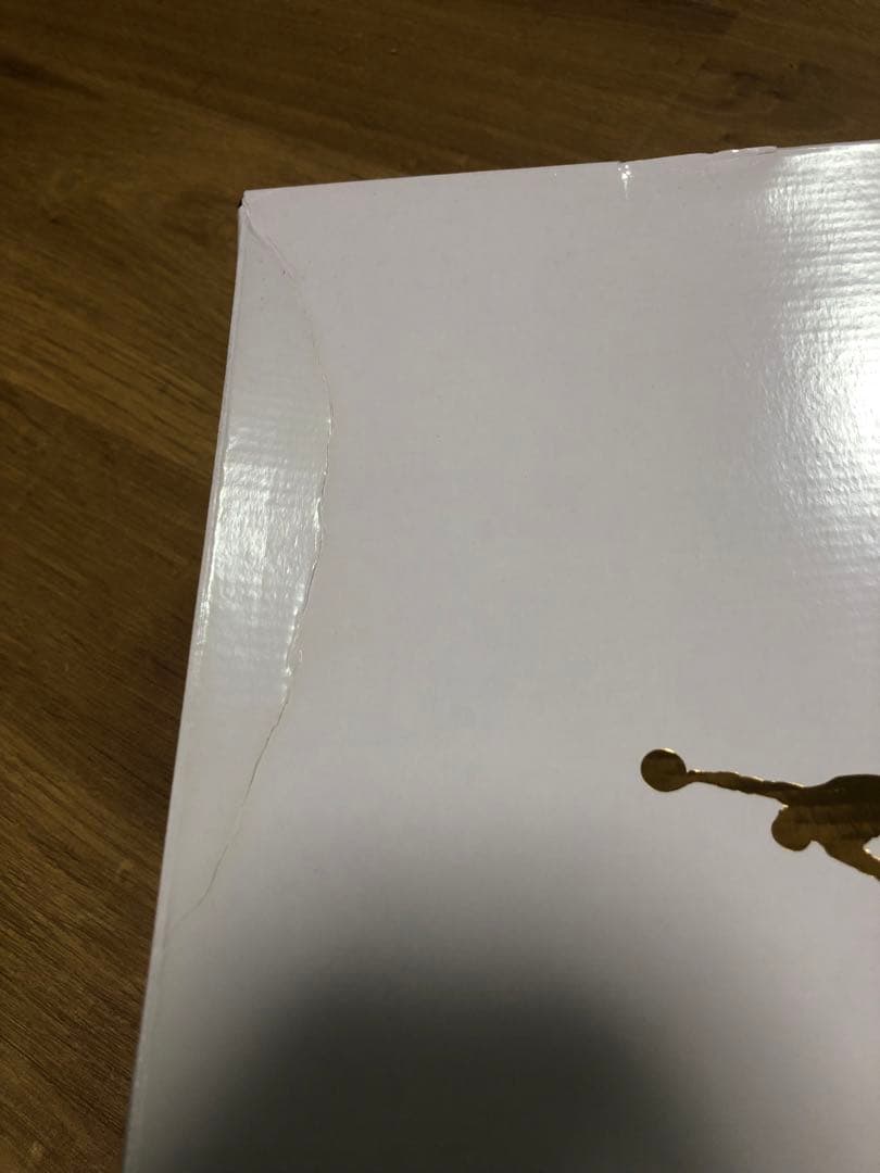 【日本未発売サイズ】Jordan rebel xx top 3 us 11