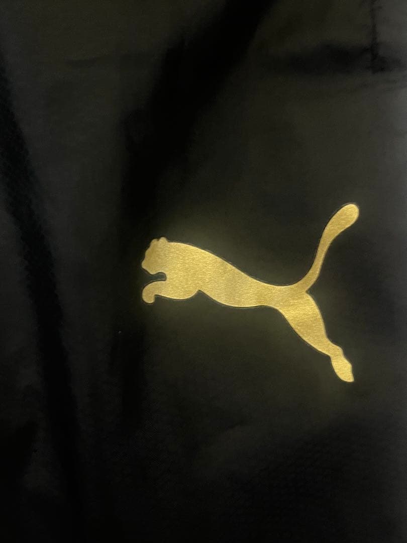 【さたおう】神村学園 ピステ