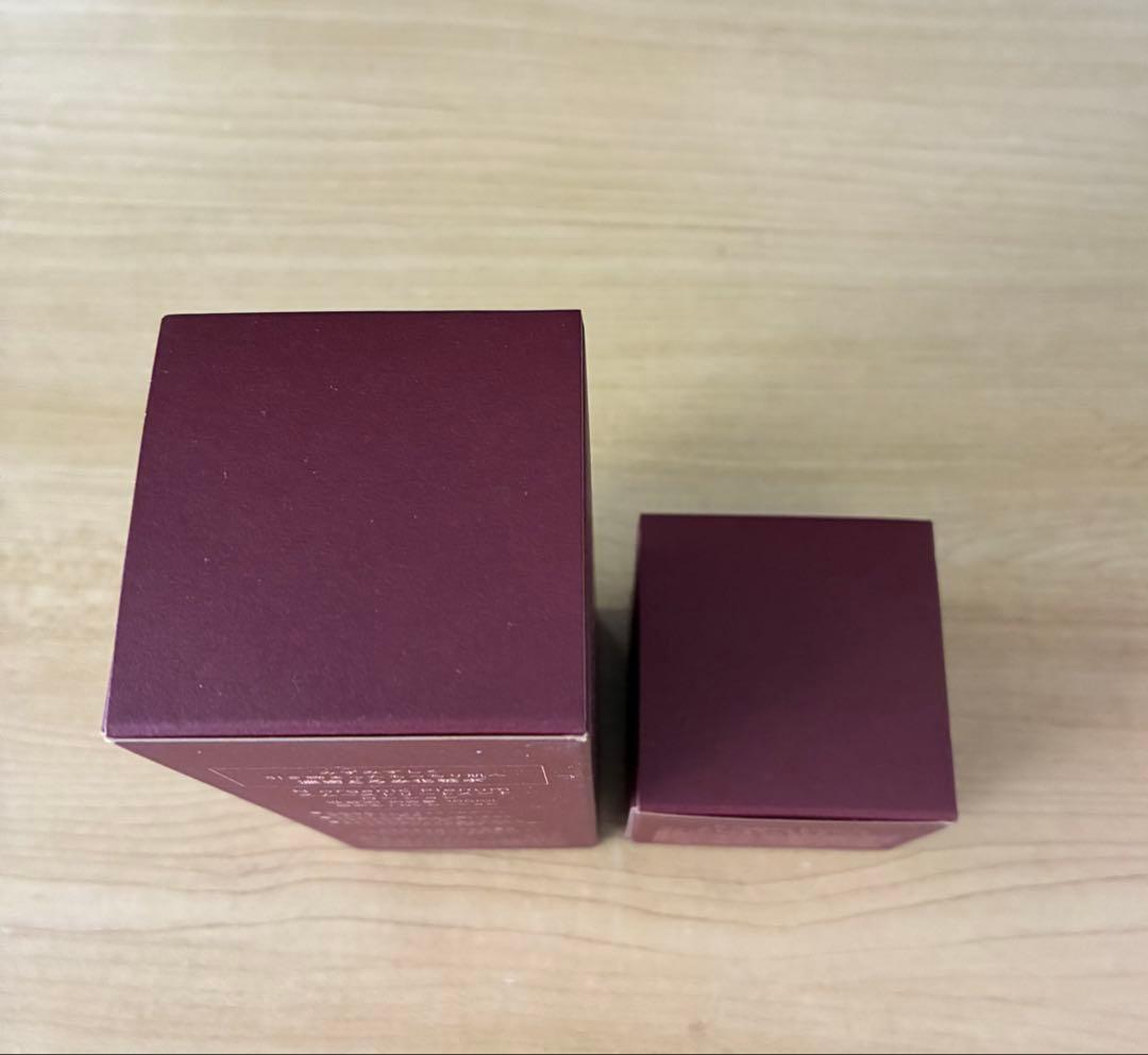 N organic plenumシリーズ　ローション100ml クリーム47g